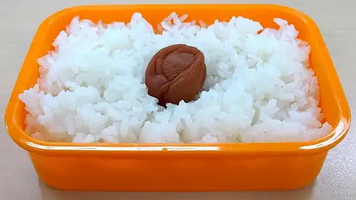 Бэнто восходящего солнца