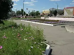 Цветочные клумбы в парке