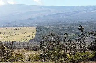 По краю леса видна граница национального парка