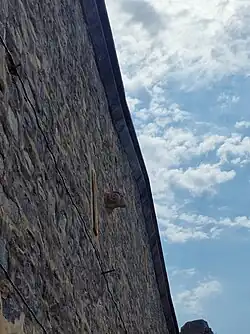 Каменная голова барана на стене