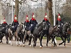 Королевские и Синие в зимней форме (2011).