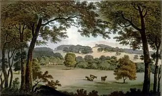 Йоркширский пейзаж до перепланировки Рептоном