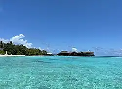 Комплекс свайных строений у северного берега