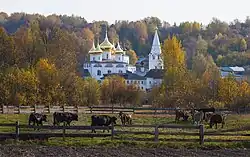 Благовещенский собор (1700 г.) и дом Опарина (конец XVII века)