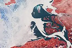 Снимок дельты Пясины летом 2020 года