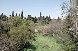 Единственный участок течения на поверхности вблизи храма Зевса Олимпийского, Афины