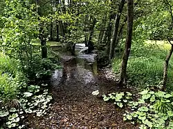 Река Ильзе в низовьях