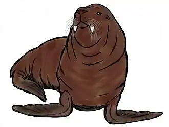 Imagotaria downsi, реконструкция