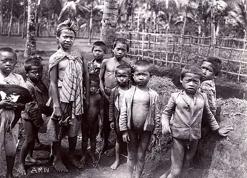 Дети Боробудура, начало XX века