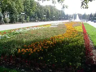 Центральная аллея Александровского сквера, в районе перекрёстка проспектов Александровский и Индустриальный