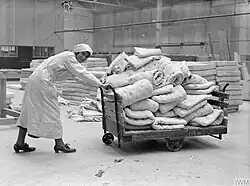 женщина перевозит груз на тачка-тележка во время Первой мировой войны