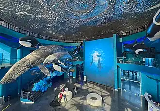 Холл главного корпуса