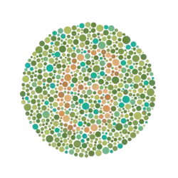 Ishihara Plate No. 13 (6)