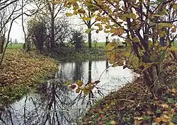 Река у истока в коммуне Расфельд.