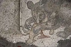 Медведь с добычей