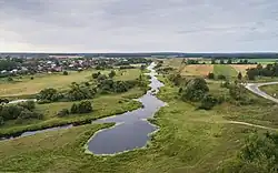 Теза около сёл Дунилово и Горицы