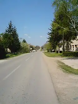 Главная улица в Избиште