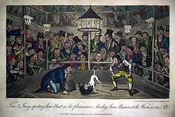 Джакко Макакко на арене Вестминстер-Пит