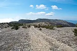 Вид на Ялтинскую яйлу с её восточной части.