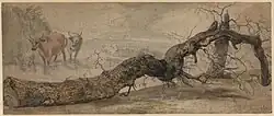 Безлистное дерево на берегу озера, в котором стоят две коровы и овца. Между 1642 и 1700 гг. Бумага, карандаш, акварель. Британский музей, Лондон