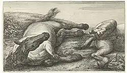 Лошадь, лежащая на правом боку. Офорт Я. ван Хухтенбурга по рисунку ван дер Мейлена. Между 1674 и 1733