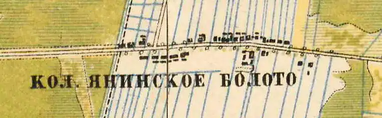 План колонии Янино. 1885&nbsp;год