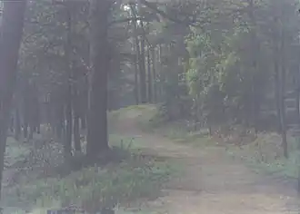 Беговая дорожка в муниципальном парке