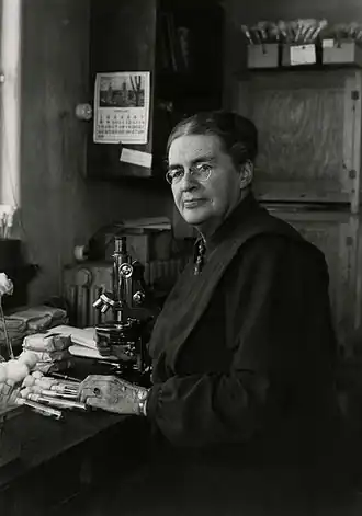 Йоханна Вестердейк.Фотография, предположительно, 1948 года