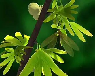 Реконструкция насекомого на ветке Ginkgo Apodes