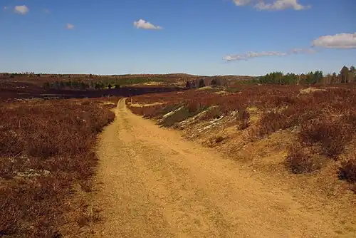 Пустошь Юсси в заповедникеПыхья-Кырвемаа в мае