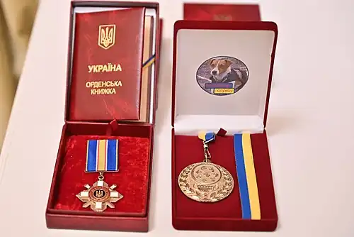 Медаль Патрона и орден его хозяина