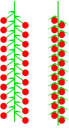 Сережка в виде кисти и колоса
