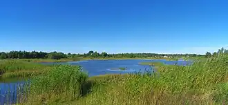 Водохранилище Кырнумяэ в деревне Кирдалу
