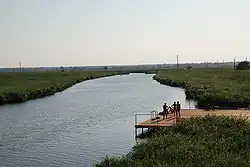 Кагальник выше по течению от впадения реки Эльбузд. Вид с моста на трассе М4-Дон.