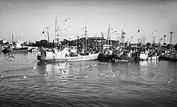 Таллинский морской рыбный порт в 1973 году