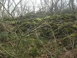 Карабахский Исар.