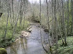 Река весной 2008 года.