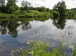 Кава у села Великое