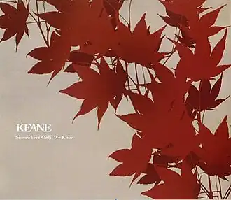 Обложка сингла Keane «Somewhere Only We Know» (2004)