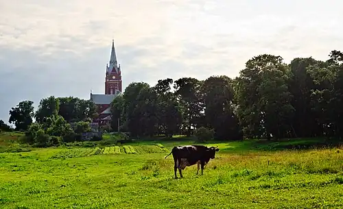 Вид на костел со стороны поля