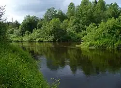 Лундонга (на переднем плане), сливаясь с Кемой, образует Унжу