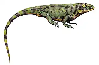 Haptodus