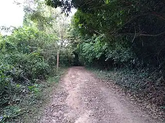 В парке. Фото сделано в январе 2020 года.