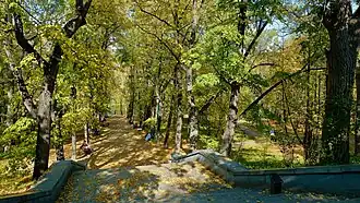 Парк осенью