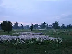 Луга близ Хухры