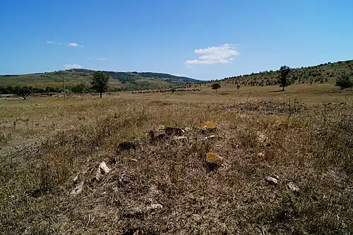 Местность, где располагался хутор Молочный (колония Иоганнесдорф)