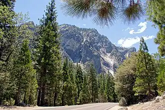 На дне каньона (июль 2014 года)