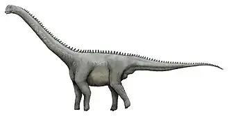 Реконструкция