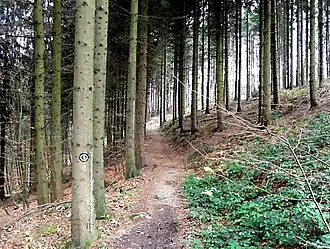 Тропа клинка у Грефрата (Золинген)