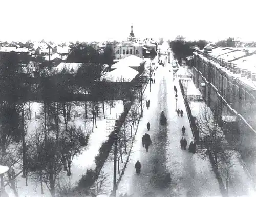 Вид на Царскосельский проспект (ныне проспект Ленина) с башни Заводоуправления. Справа&nbsp;— Городская больница, Слева&nbsp;— Морское собрание, вдали слева церковь Вознесения Господня. Фото 1914 года